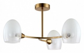 Люстра на штанге Lumion Kendall 6514/3C в Советском - sovetskiy.mebel24.online | фото