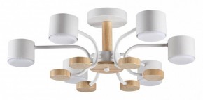 Люстра на штанге Lumion Rondo 8231/6C в Советском - sovetskiy.mebel24.online | фото