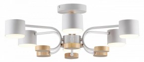 Люстра на штанге Lumion Rondo 8231/6C в Советском - sovetskiy.mebel24.online | фото 2