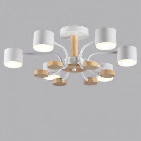 Люстра на штанге Lumion Rondo 8231/6C в Советском - sovetskiy.mebel24.online | фото 4