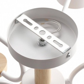 Люстра на штанге Lumion Rondo 8231/6C в Советском - sovetskiy.mebel24.online | фото 6