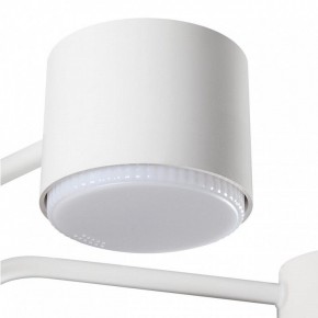 Люстра на штанге Lumion Rondo 8231/6C в Советском - sovetskiy.mebel24.online | фото 7