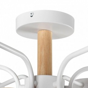Люстра на штанге Lumion Rondo 8231/6C в Советском - sovetskiy.mebel24.online | фото 8