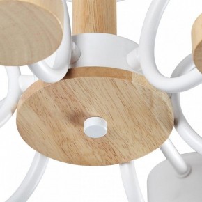 Люстра на штанге Lumion Rondo 8231/6C в Советском - sovetskiy.mebel24.online | фото 9