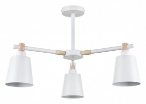 Люстра на штанге Lumion Rosalina 8097/3C в Советском - sovetskiy.mebel24.online | фото