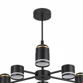 Люстра на штанге Lumion Virsava 8234/6C в Советском - sovetskiy.mebel24.online | фото 5