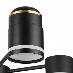 Люстра на штанге Lumion Virsava 8234/6C в Советском - sovetskiy.mebel24.online | фото 8