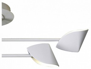 Люстра на штанге Mantra Capuccina 7574 в Советском - sovetskiy.mebel24.online | фото 3