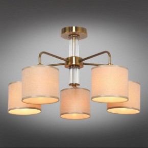 Люстра на штанге Omnilux Barumini OML-56907-05 в Советском - sovetskiy.mebel24.online | фото 2