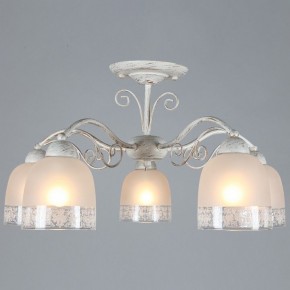 Люстра на штанге Omnilux Ferraro OML-54907-05 в Советском - sovetskiy.mebel24.online | фото 4