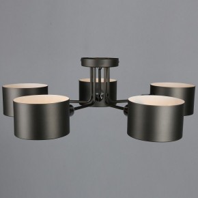 Люстра на штанге Omnilux Lisera OML-54507-05 в Советском - sovetskiy.mebel24.online | фото 5