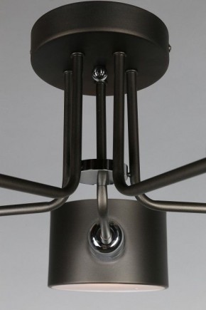 Люстра на штанге Omnilux Lisera OML-54507-05 в Советском - sovetskiy.mebel24.online | фото 6