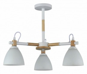Люстра на штанге Rivoli Louise Б0060982 в Советском - sovetskiy.mebel24.online | фото