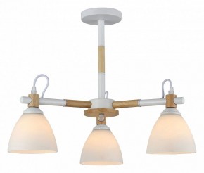 Люстра на штанге Rivoli Louise Б0060982 в Советском - sovetskiy.mebel24.online | фото 2