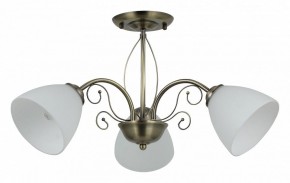 Люстра на штанге Rivoli Sue Б0060985 в Советском - sovetskiy.mebel24.online | фото