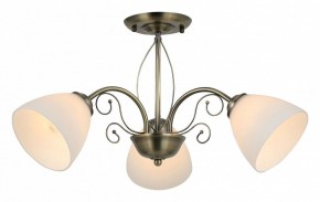 Люстра на штанге Rivoli Sue Б0060985 в Советском - sovetskiy.mebel24.online | фото 2