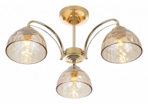 Люстра на штанге Rivoli Terri Б0060988 в Советском - sovetskiy.mebel24.online | фото