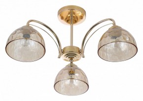 Люстра на штанге Rivoli Terri Б0060988 в Советском - sovetskiy.mebel24.online | фото 2