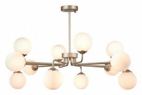Люстра на штанге ST-Luce Redjino SLE106203-12 в Советском - sovetskiy.mebel24.online | фото 2