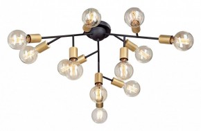 Люстра на штанге Vitaluce 4959 V4959-1/12PL в Советском - sovetskiy.mebel24.online | фото