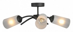 Люстра на штанге Vitaluce V2850 V2850-1/3PL в Советском - sovetskiy.mebel24.online | фото