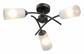 Люстра на штанге Vitaluce V2850 V2850-1/3PL в Советском - sovetskiy.mebel24.online | фото 2