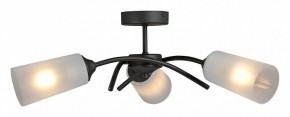 Люстра на штанге Vitaluce V2850 V2850-1/3PL в Советском - sovetskiy.mebel24.online | фото 3