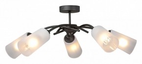Люстра на штанге Vitaluce V2850 V2850-1/5PL в Советском - sovetskiy.mebel24.online | фото