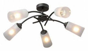 Люстра на штанге Vitaluce V2850 V2850-1/5PL в Советском - sovetskiy.mebel24.online | фото 2