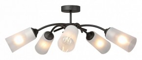 Люстра на штанге Vitaluce V2850 V2850-1/5PL в Советском - sovetskiy.mebel24.online | фото 3