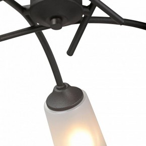 Люстра на штанге Vitaluce V2850 V2850-1/5PL в Советском - sovetskiy.mebel24.online | фото 6