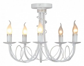 Люстра на штанге Vitaluce V3035 V3035-0/5PL в Советском - sovetskiy.mebel24.online | фото 2