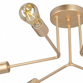 Люстра на штанге Vitaluce V3071 V3071-8/6PL в Советском - sovetskiy.mebel24.online | фото 6