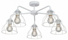 Люстра на штанге Vitaluce V3102 V3102-0/5PL в Советском - sovetskiy.mebel24.online | фото