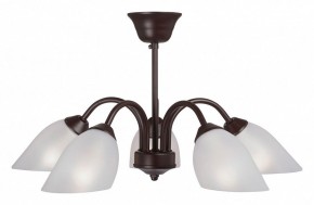 Люстра на штанге Vitaluce V3335 V3335-7/5PL в Советском - sovetskiy.mebel24.online | фото