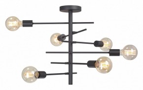 Люстра на штанге Vitaluce V3974 V3974-1/6PL в Советском - sovetskiy.mebel24.online | фото 4