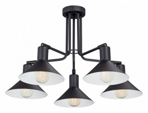 Люстра на штанге Vitaluce V4809 V4809-1/5PL в Советском - sovetskiy.mebel24.online | фото