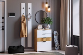 МЕБЕЛЬСОН К21 Прихожая в Советском - sovetskiy.mebel24.online | фото