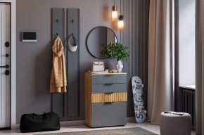 МЕБЕЛЬСОН К21 Прихожая в Советском - sovetskiy.mebel24.online | фото 2