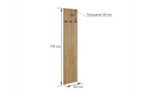 МЕБЕЛЬСОН К8 Прихожая в Советском - sovetskiy.mebel24.online | фото 3