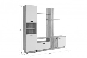 МОДИ Гостиная (модульная) белое дерево в Советском - sovetskiy.mebel24.online | фото 2