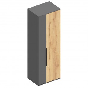 МОНИКА Шкаф для одежды в Советском - sovetskiy.mebel24.online | фото 3