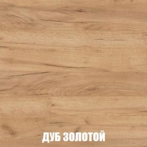 МСП-1 Шкаф 2-х створчатый (Дуб Золотой/Камень темный) в Советском - sovetskiy.mebel24.online | фото 4