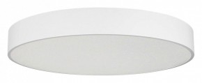 Накладной светильник Arlight TOR PILL 022132(4) в Советском - sovetskiy.mebel24.online | фото