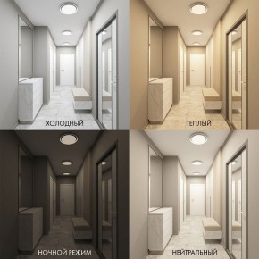 Накладной светильник Denkirs Cany DK6516-WH в Советском - sovetskiy.mebel24.online | фото 2