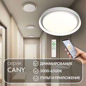 Накладной светильник Denkirs Cany DK6516-WH в Советском - sovetskiy.mebel24.online | фото 4