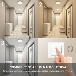 Накладной светильник Denkirs Cany DK6516-WH в Советском - sovetskiy.mebel24.online | фото 6