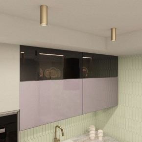 Накладной светильник Denkirs TUBE DK2051-SG в Советском - sovetskiy.mebel24.online | фото 4