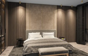 Накладной светильник Denkirs TUBE DK2051-SG в Советском - sovetskiy.mebel24.online | фото 5