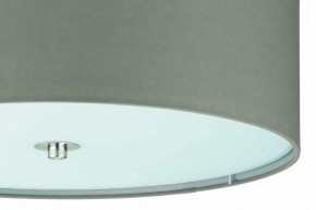 Накладной светильник Eglo Pasteri 94919 в Советском - sovetskiy.mebel24.online | фото 4